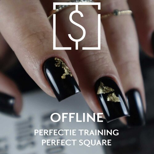 TS Training Perfectie Training Perfect Square 29, 30 & 31 Mei 2024 TS Training Perfectie Training Perfect Square 29, 30 & 31 Mei 2024