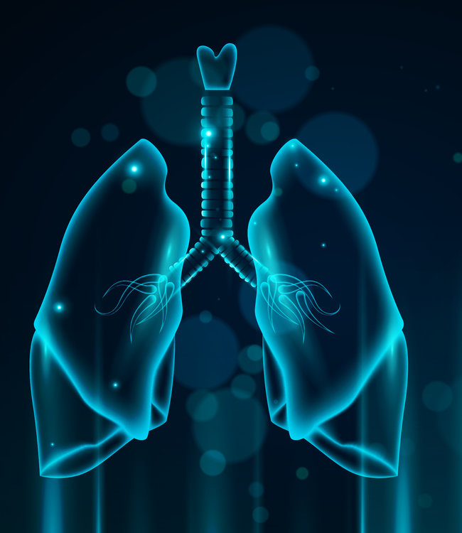 Stärkung von Lunge und Bronchien