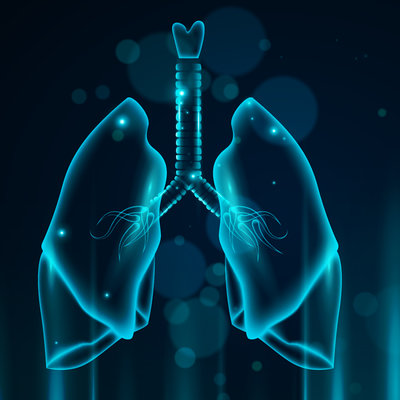 31.10.2024  Stärkung von Lunge und Bronchien 