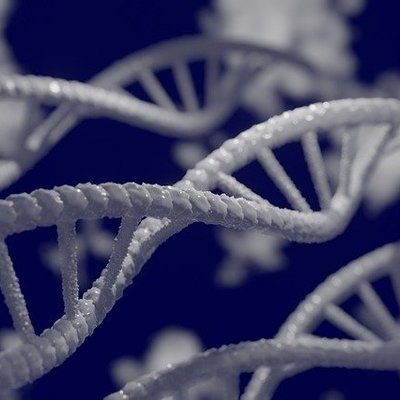 Termin jederzeit möglich Webinar DNA Umstrukturierung