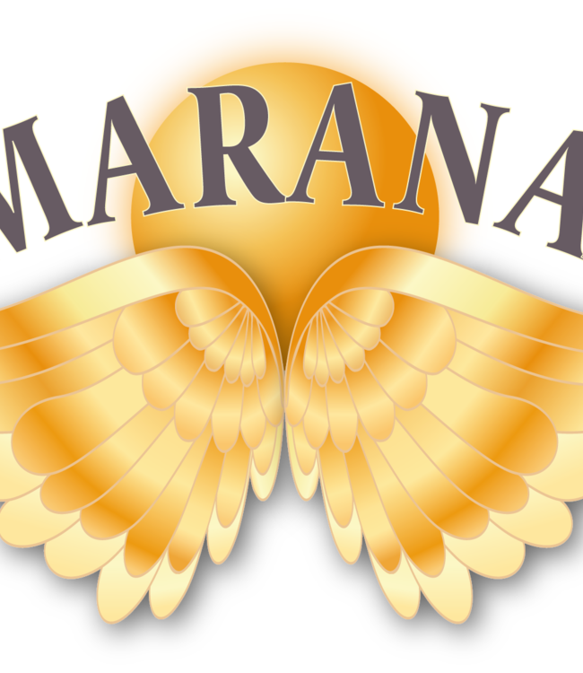 Smaranaa Zertifikat I für geistige Wirbelsäulen Begradigung