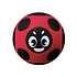 Bug bal