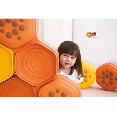 WEPLAY Honingraat sensory stapelblokken set