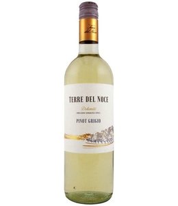 Mezzacorona Pinot Grigio | Terre del Noce
