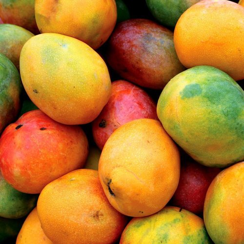 CLASSIC - Mango - Fruchtsirup