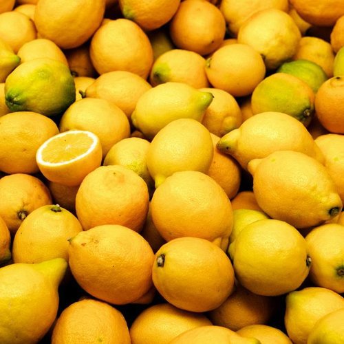 CLASSIC - Lemon - Fruchtsirup