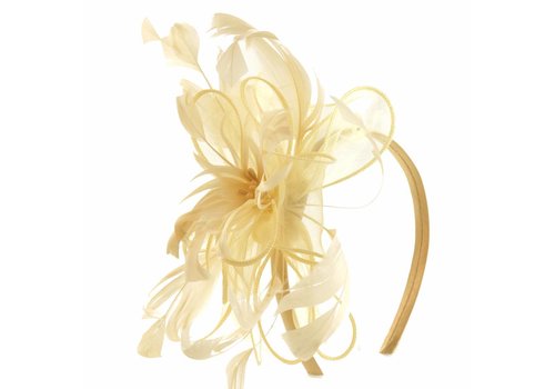 Peach Accessories SYH820 Gold Headband