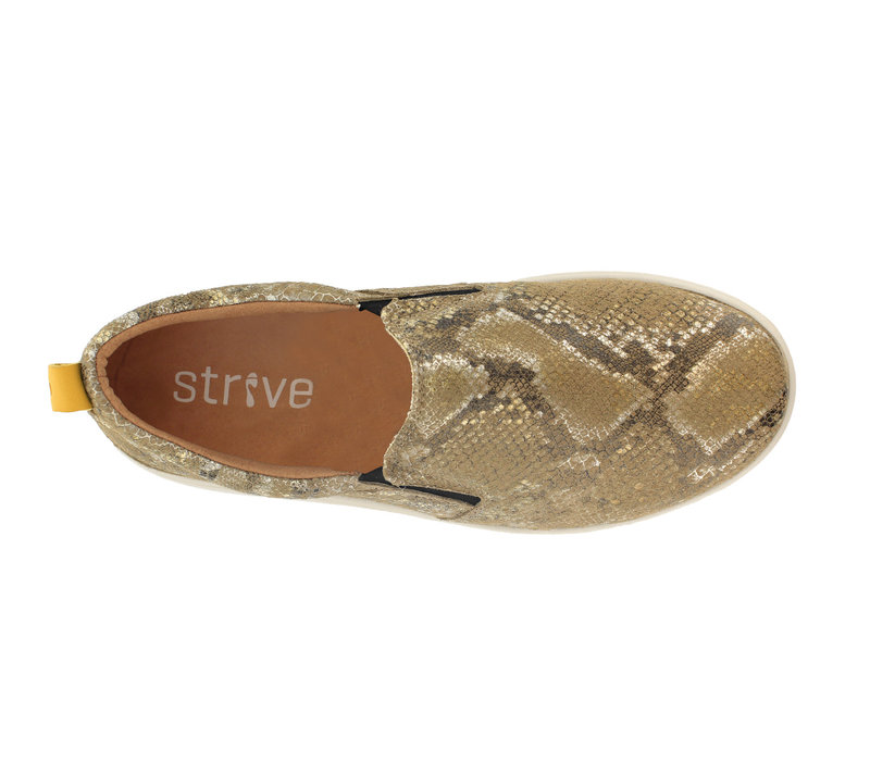 Strive FLORIDA ll Mocha Snake