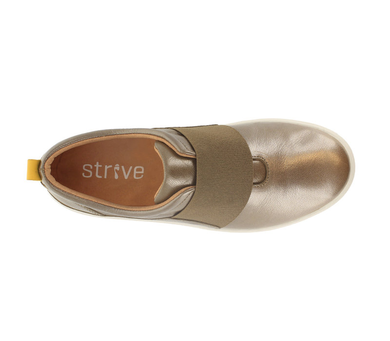 Strive HUDSON Mocha