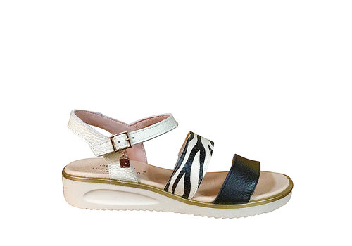 Jose Saenz 2107-MC-CE Cream Zebra