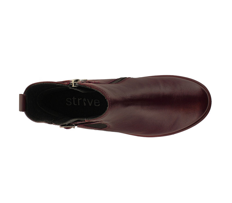 Strive ASTON Burgundy A/Boot