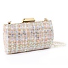 JH031 tweed evening bag in Beige