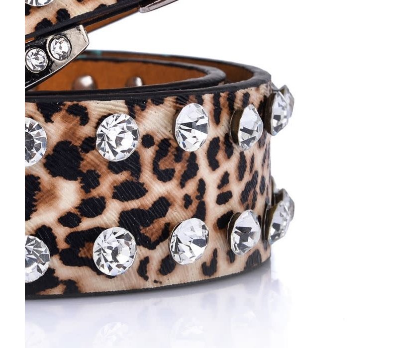 BEL030 Decorative Studded Belt in Crystal Leopard