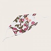 0009 Pink Rosebud Cotton Face Mask