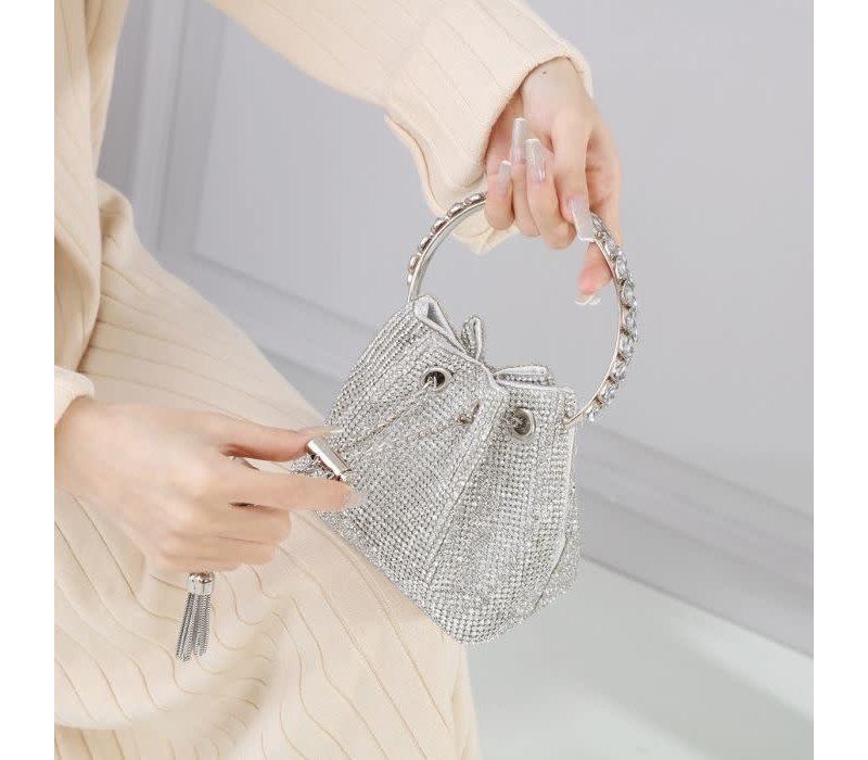 6641 crystal pouch with jewelled handle in Silver