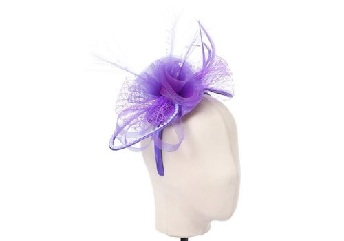 Peach Accessories TGHW328 Decorative Headpiece in Purple