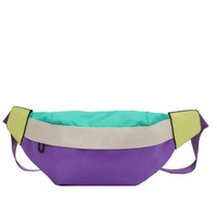 PP06 Purple Multi Belt Bag