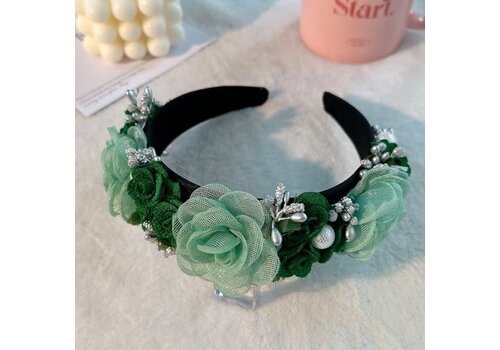 Peach Accessories HA782 embellished flowers and pearl details in Green