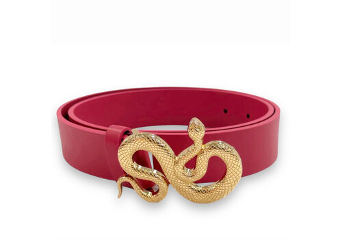 Goa Goa Goa Goa 100209226/017 Fuchsia Pink Belt