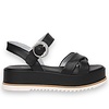 NeroGiardini NeroGiardini E410740D Black Sandals