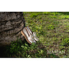 Marian 9807 123 Metal Gold Buckle