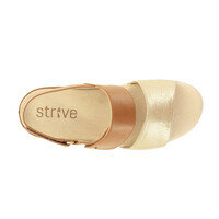 Strive RIVIERA 11 in Tan/Gold