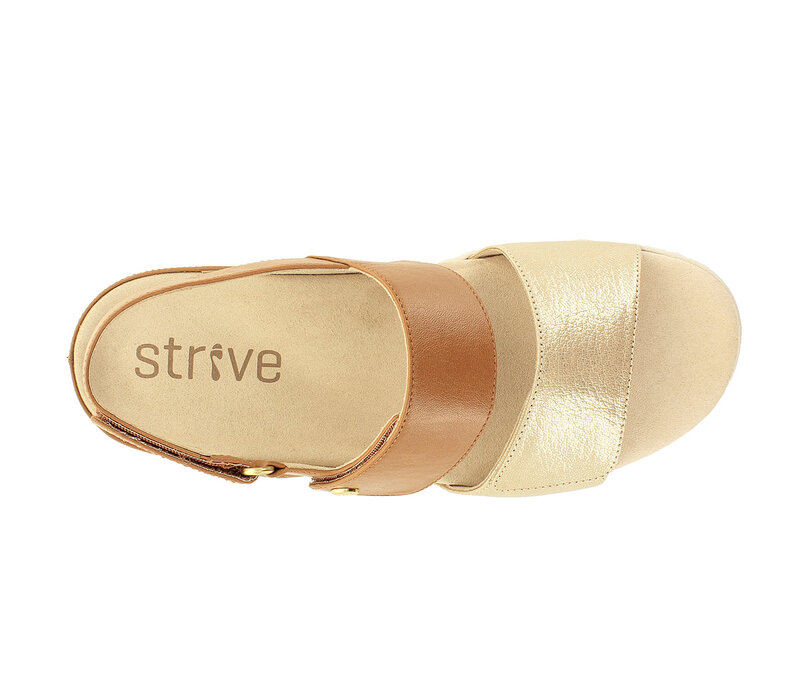 Strive RIVIERA 11 in Tan/Gold