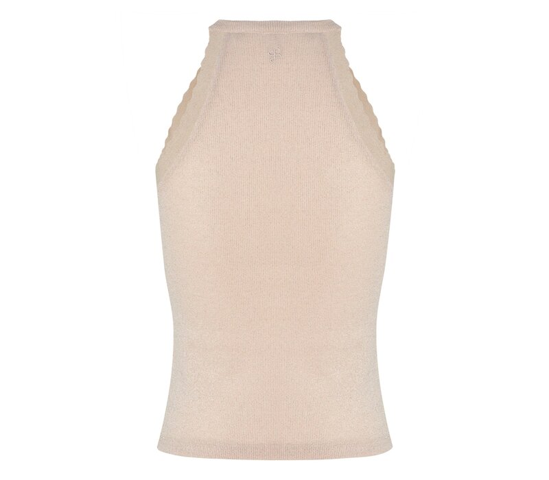 Salsa 210079556 Pale Gold Lurex Top