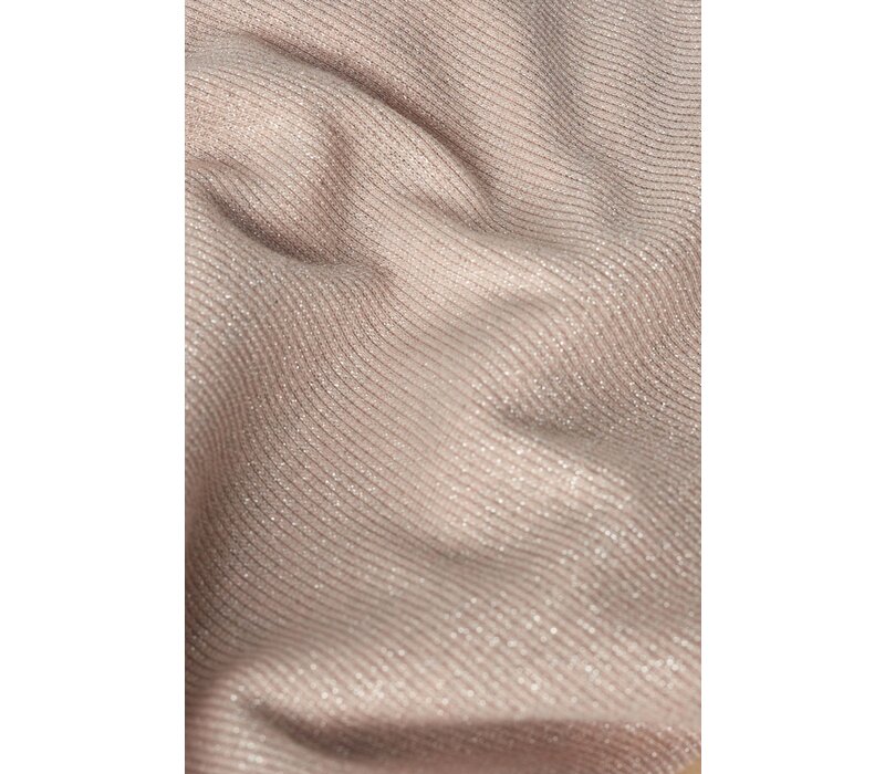 Salsa 210079556 Pale Gold Lurex Top