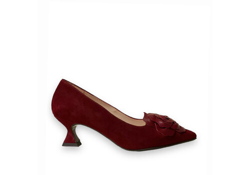 Dressy low heel shoes 2025