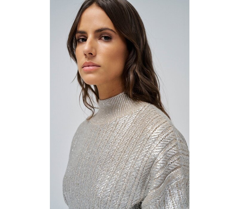 Salsa Silvery Beige Turtleneck Sweater