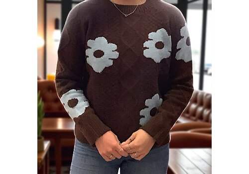 MD’M MD’M 3.50.210.18 Brown Daisy Sweater