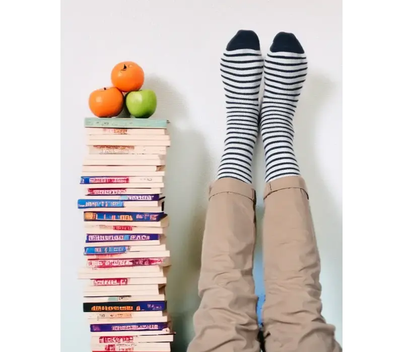 Polar Star Navy STRIPES Warm Socks
