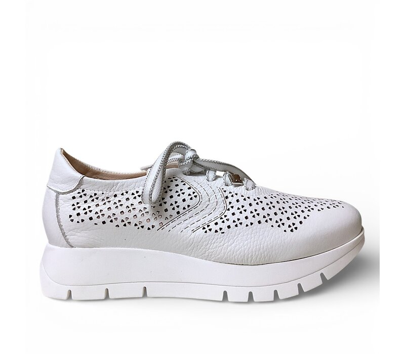 Jose Saenz 2314 White Laced Sneakers