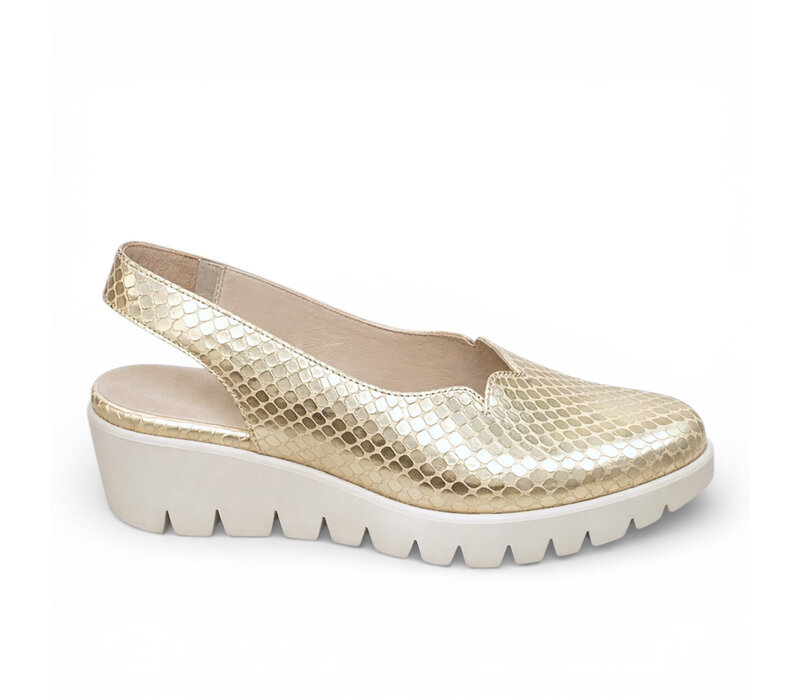 Wonders C-33260 Champagne Print Slings