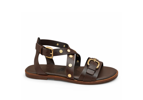 Wonders Wonders AB-1642 Chocolate Mousse Sandals