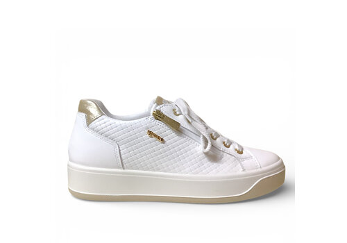 IGI&CO IGI&CO 1144300 White/Gold Sneakers