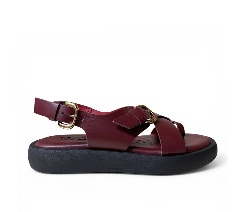 Wonders AB-1332 Burgundy Toe Post Sandals