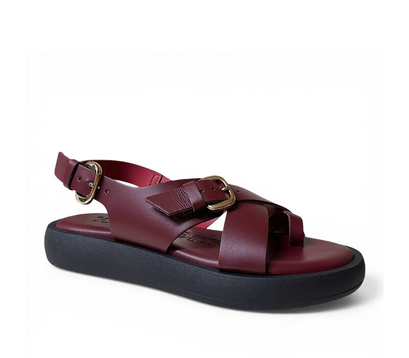 Wonders AB-1332 Burgundy Toe Post Sandals
