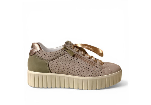 IGI&CO IGI&CO 1145722 Taupe Multi Sneakers