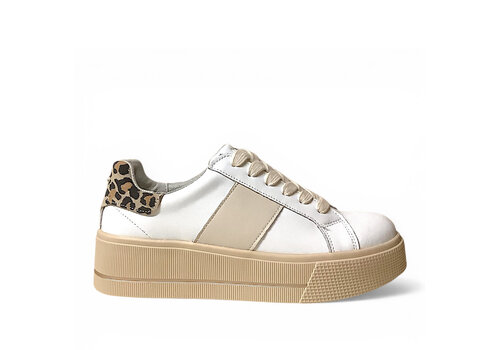 Patrizio Como Patrizio Como MARATEA Wht/Leop Sneaker