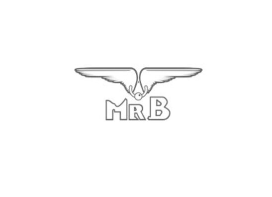Mister B
