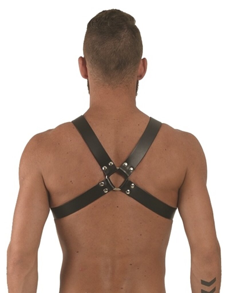 Mister B Mister B Leather Y-Front Harness