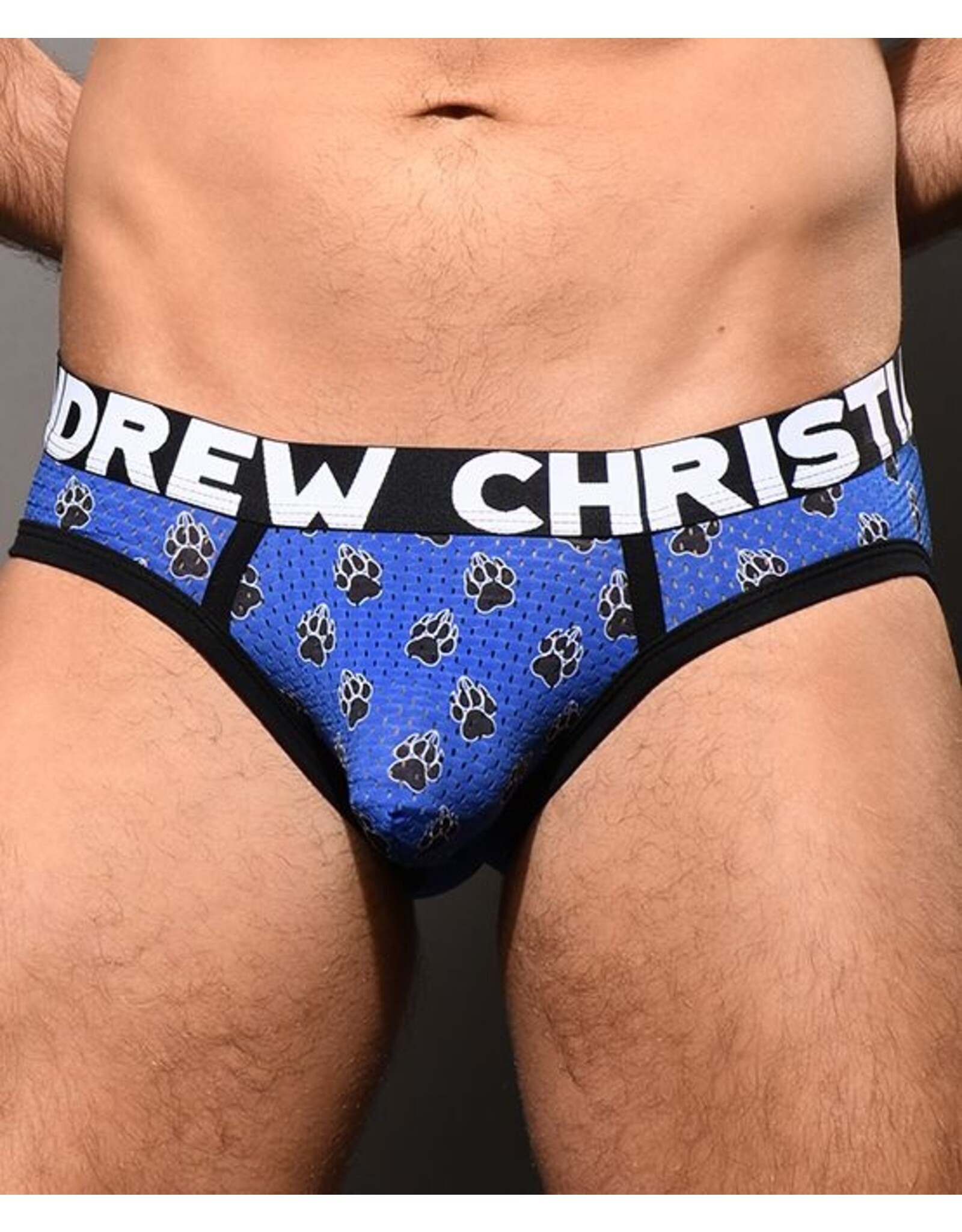 Andrew Christian Andrew Christian SHOW-IT Tagless Brief - Copy