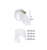 Extreme Chastity Cock Cage Acrylic