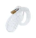 Extreme Chastity Cock Cage Acrylic