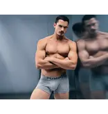 PUMP!  PUMP! GRAY CLASSIC BOXER
