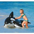 Intex Orka