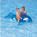 Intex Walvis