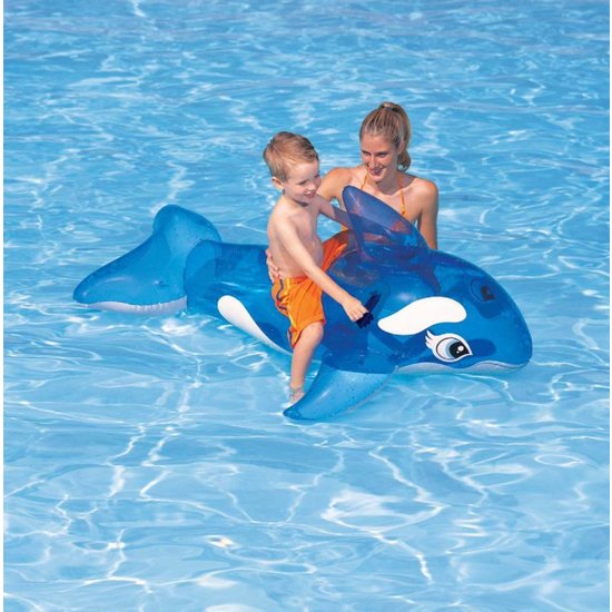 Intex Walvis